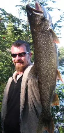 Lake Trout