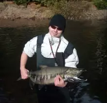 Chum salmon