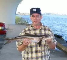 Tom's Cobia-Hart's Landing Sarasota