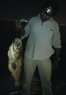 jack uae