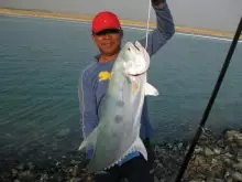 Queenie - 12.11.10 - AUH