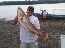 honduras fishing