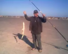 shark!