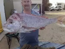 Best Snapper 2010