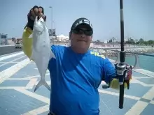 queen fish