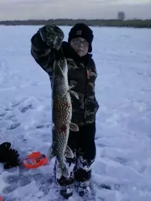 33" Northern Pike