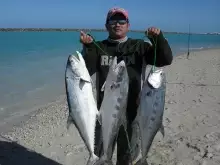 abu dhabi fishing (the queens)