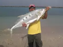 abu dhabi fishing (queenfish)