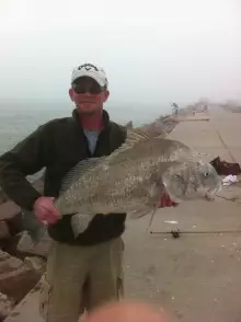 30 lb black drum