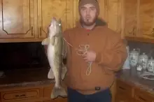 Walleye