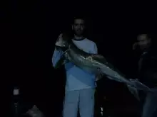 Great Cobia caught by Abu Ja’far