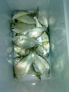 Fishing in Abu Dhabi with FRIENDS