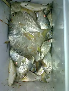 Fishing in Abu Dhabi with FRIENDS