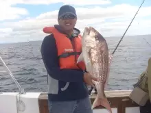 At Gulf Harbour, New Zealand