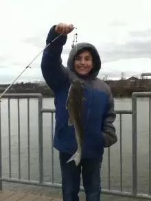 Fish Caught