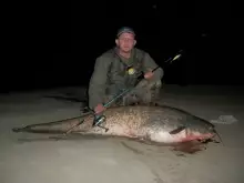 Catfish 57kg River Sava Bosnia Šamac