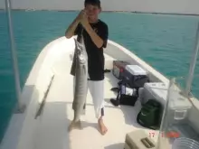 Trevors Barracudah