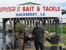 hackberry