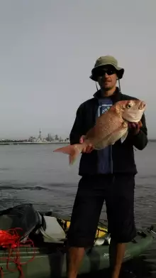 60 cm Auckland Snapper