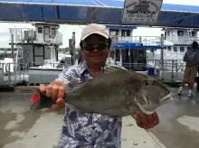 miami porgy