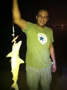 Shark Attack on Palm Jumierah- Dubai, UAE