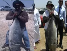 the comparison of both catches April 27 2011 50kg and may 24 2011 31 kg