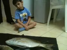 fishing in sharjah
