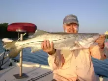 Early Morning Snook