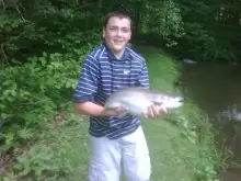 rainbow trout 11.5 lbs