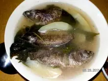 fresh water fish (Puyo) in Philippines