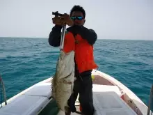 trolling/abu dhabi fishing