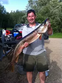 15 lb Northern Pike