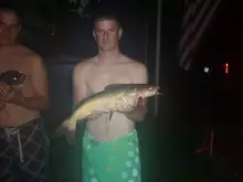 Cat Fishing