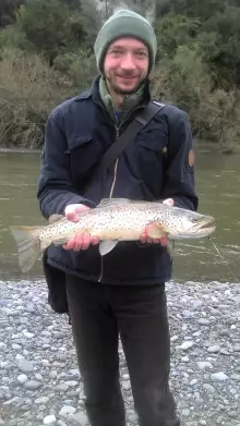 Big brown trout from the whanganui river near Taumarunui, NZ
