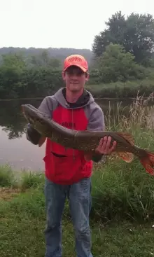 big pike