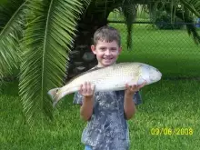 My 29 inch Redfish