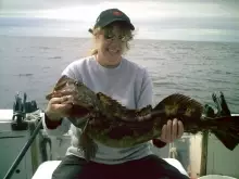 Ocean Ling Cod