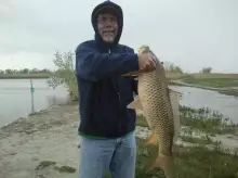 Carp!