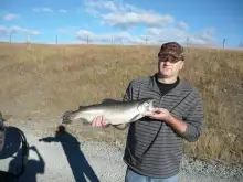 a good trout