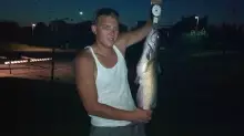 same 10 pounder