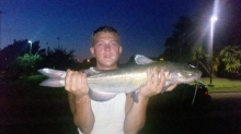 bens 10 pound catfish