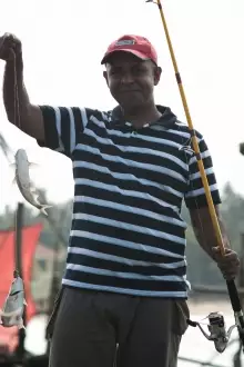 Catfish Catch at Munampam, Kerala
