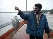 Munambam beach ,kerala