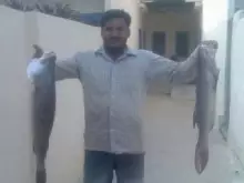 karachi fishing