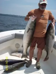 Couple Of Nice Stripers