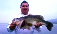 12lbs8oz Pig caught on 9-11...Lake Perris