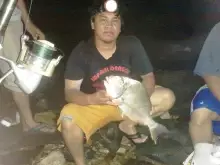 Sea Bream (BAKOKO) again