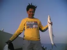 Mussafah Barracuda