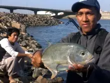 jeddah trevally fishing