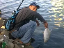 jeddah fishing